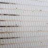 Extra Stark Gipsskiva 12,5 × 1200 × 2600 mm