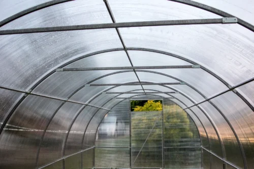 Bågväxthus Easy-Up – polykarbonatväxthus 6 mm, bredd 3 m