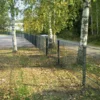 2D Stängselpanel 8/6/8 mm RAL6005 Grön