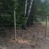STRONG flätat djurstängsel 2 m | Ø1,9 mm | 50 m rulle