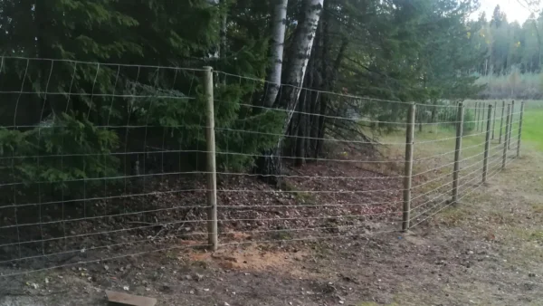 elaiverkko_punottu Djurnät Ø1,9 mm – galvaniserat flätat djurstängsel 50 m rulle